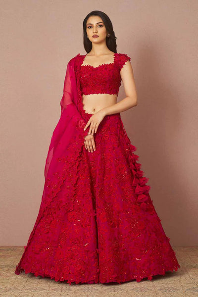 Anushree Reddy Poppy Cutdana lehenga set - The Grand Trunk