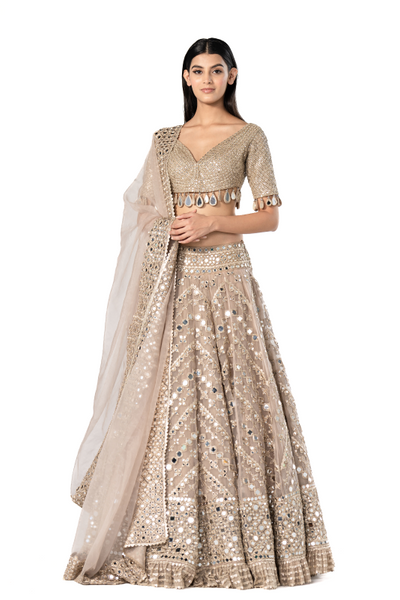 Abhinav Mishra Moon Grey embellished lehenga set - The Grand Trunk