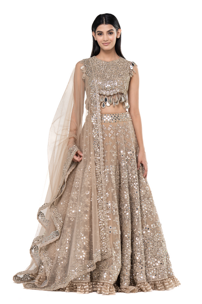 Abhinav Mishra Moon Grey Embellished lehenga set - The Grand Trunk