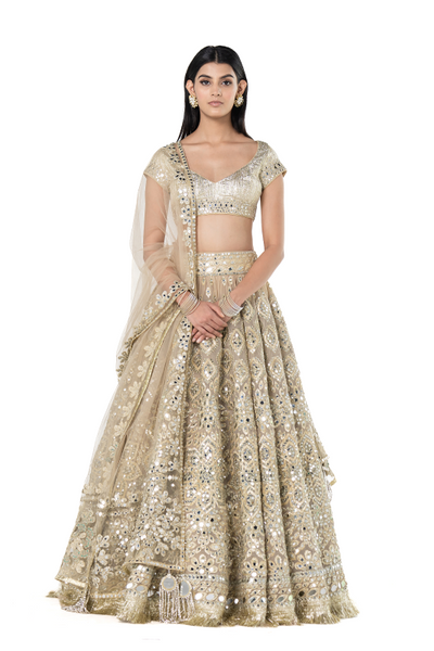 Abhinav Mishra Beige golden lehenga set - The Grand Trunk