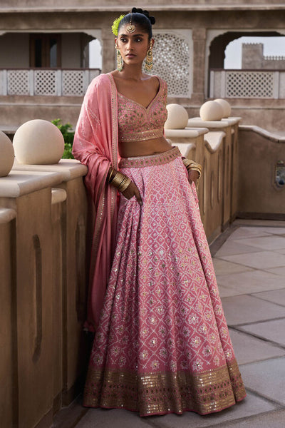 Nura Lehenga - Blush - The Grand Trunk