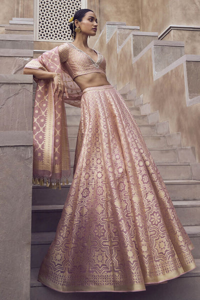 Aniq Lehenga Set - Blush - The Grand Trunk