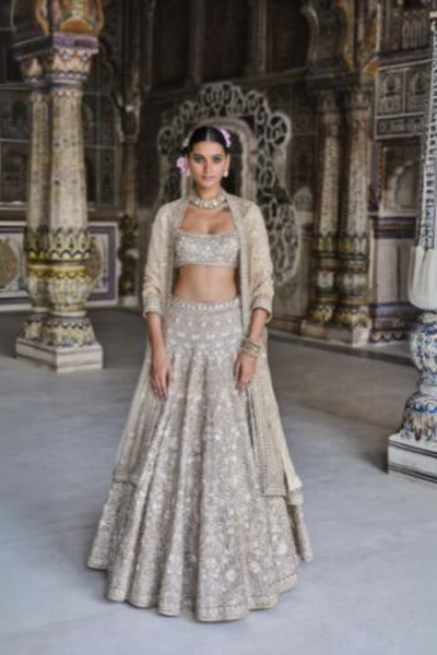 Arisa Embroidered Silk Lehenga Set