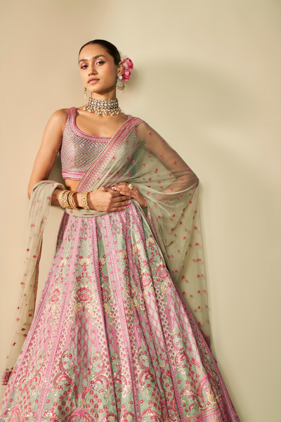 Aashirya Embroidered Lehenga Set