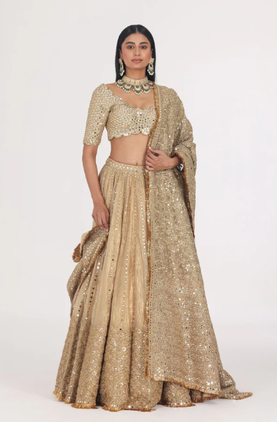 Mirror Embellished Tissue Lehenga Set