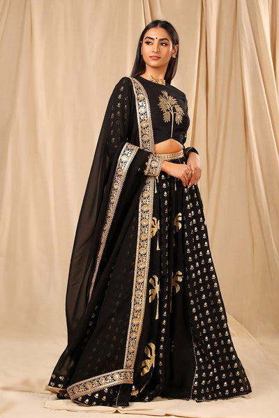 Black Coco Lehenga - The Grand Trunk