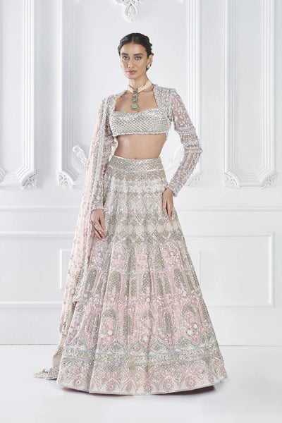 Soft Pink Silver Jaal Embroidered Lehenga Set - The Grand Trunk