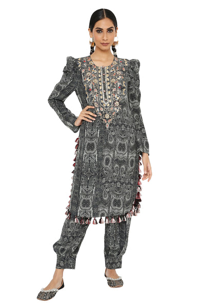 Payal Singhal  Printed  Embroidered Kurta With Jogger Salwar - The Grand Trunk