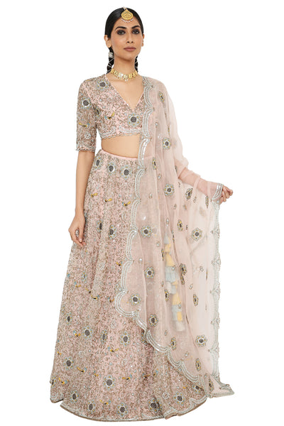 Payal Singhal  Embroidered Organza Choli And Lehenga With Dupatta - The Grand Trunk