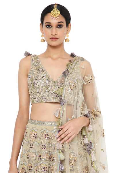 Payal Singhal Lehenga And Choli With Net Dupatta - The Grand Trunk