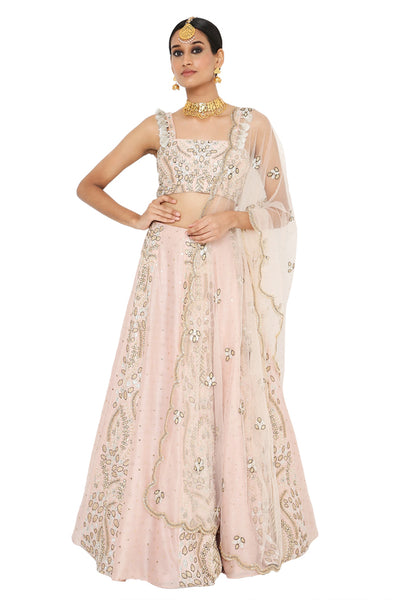 Payal Singhal Embroidered Choli With Lehenga And Net Embroidered Dupatta - The Grand Trunk