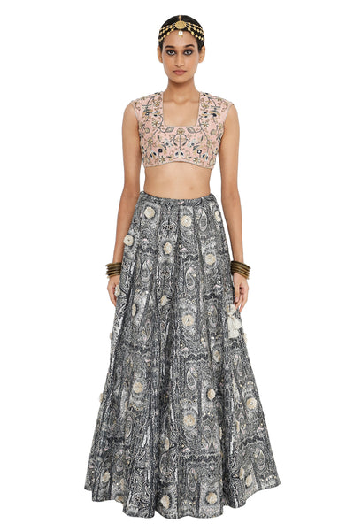 Payal Singhal embroidered Choli With Printed embroidered lehenga - The Grand Trunk