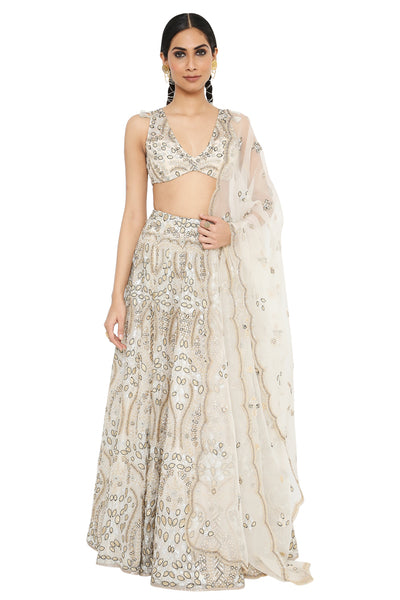 Payal Singhal Embroidered Choli With Lehenga And Dupatta - The Grand Trunk