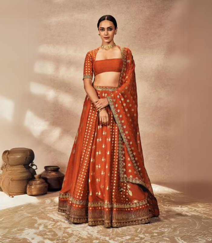 Rust Foil Lehenga Set