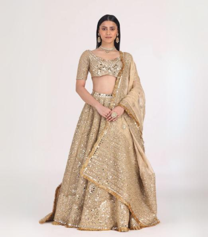 Floral Motif Tissue Lehenga Set