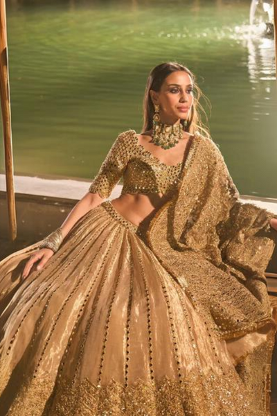 Mirror Embellished Tissue Lehenga Set