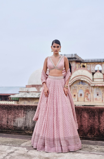 Alara Printed Mul Lehenga Set - Blush