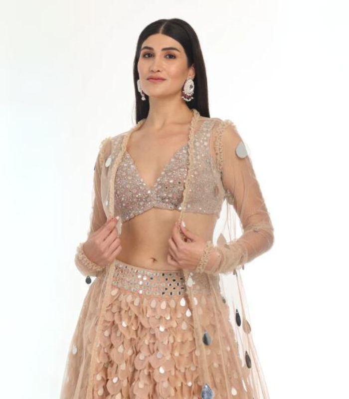 Blush Applique Lehenga Jacket Set