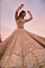 Load image into Gallery viewer, Floral Motif Tissue Lehenga Set