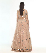 Load image into Gallery viewer, Blush Applique Lehenga Jacket Set