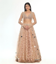 Load image into Gallery viewer, Blush Applique Lehenga Jacket Set