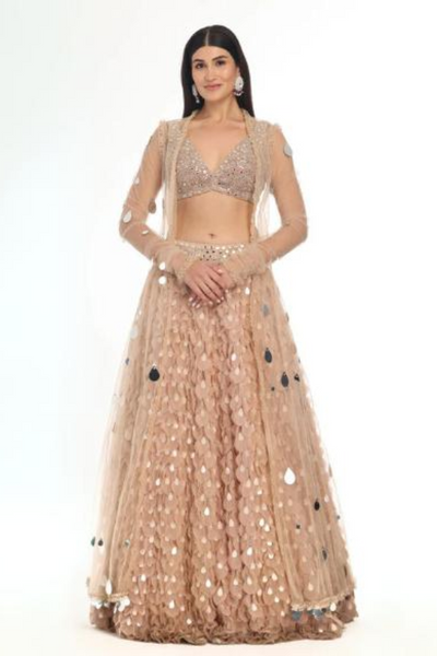 Blush Applique Lehenga Jacket Set