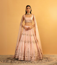 Load image into Gallery viewer, Pink lehenga Set