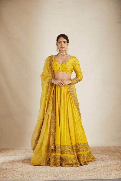 Mustard Yellow Double Border Lehenga Set - The Grand Trunk