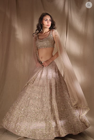 Astha Narang Grey Brown Raw Silk Lehenga - The Grand Trunk