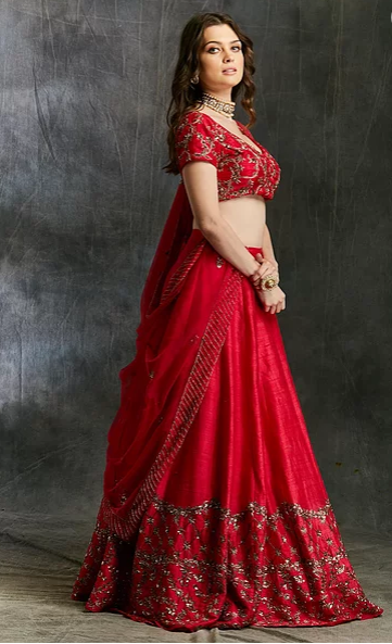 Astha Narang Dark Pink and Gold Lehenga with Choli - The Grand Trunk